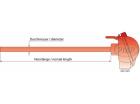 Einsteck Temperaturfühler mit Schnappverschluss